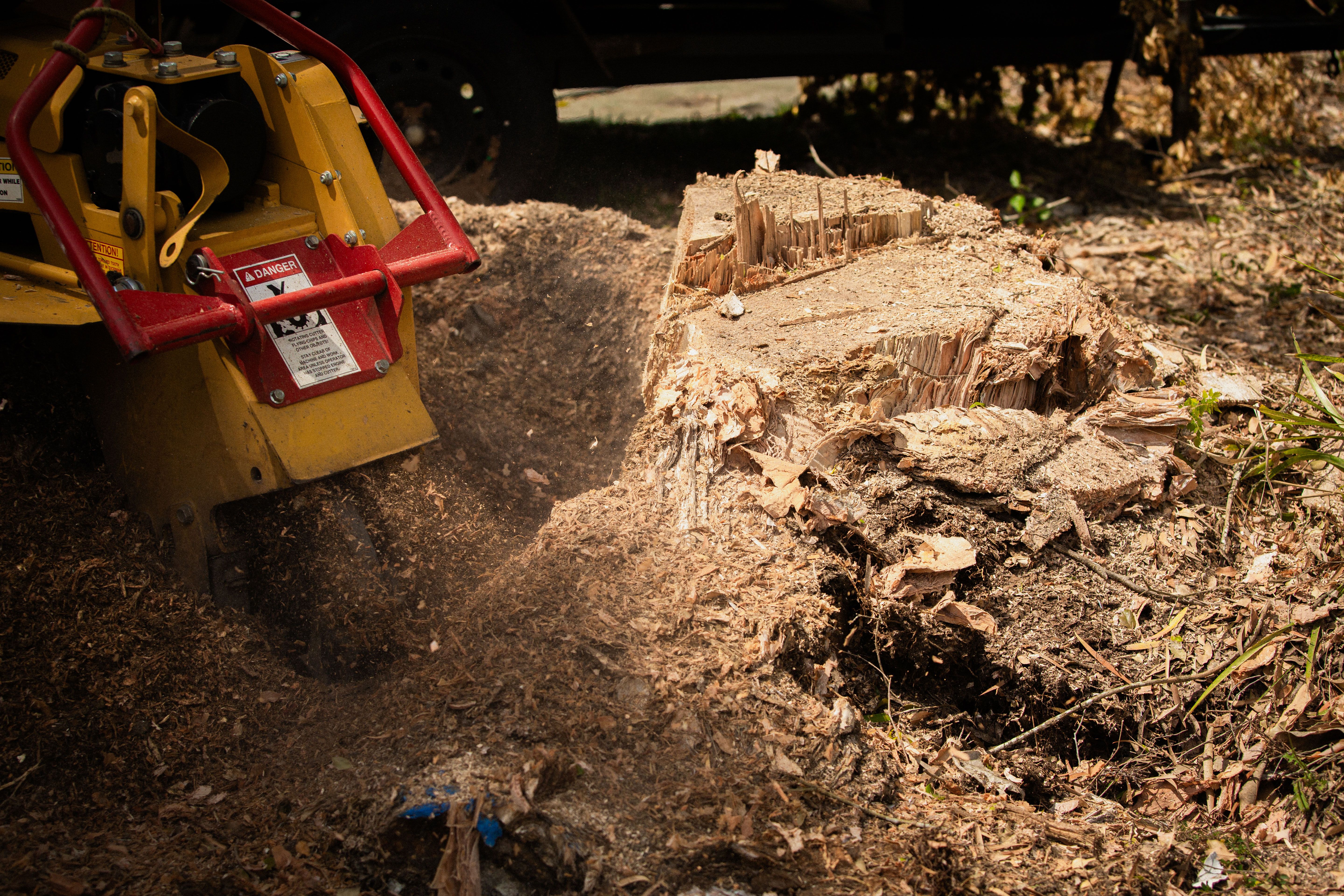 Stump Grinding and Removal