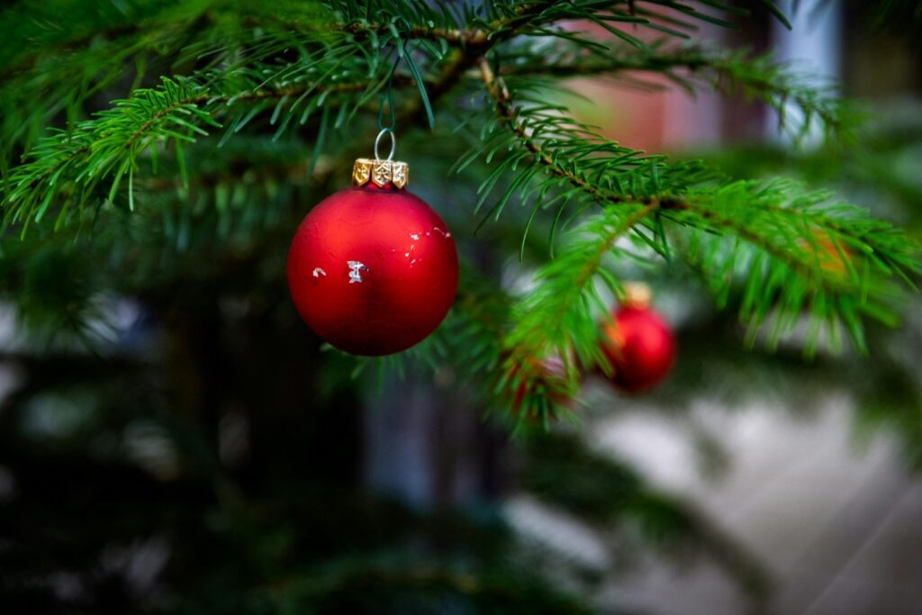 Tree Safety Tips to Keep the Holiday Season Safe
