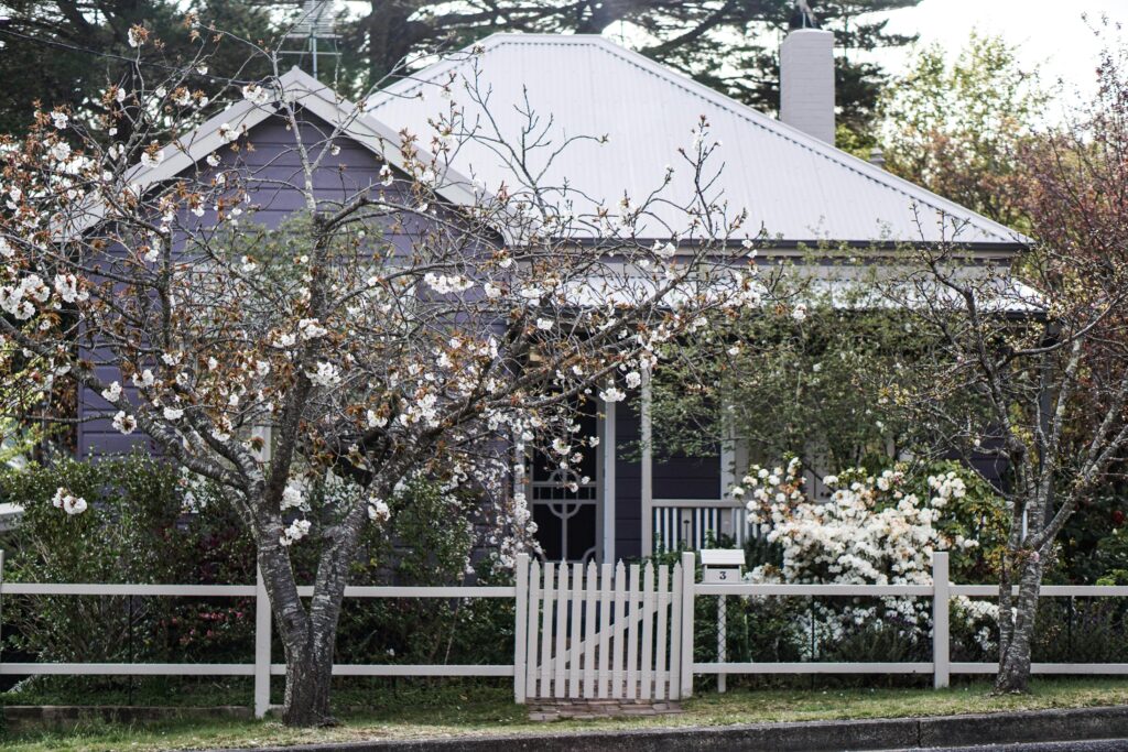 How Trees Affect Your Property Value, The Good & The Bad