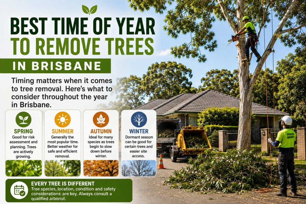Best Time of Year to Remove Trees in Brisbane