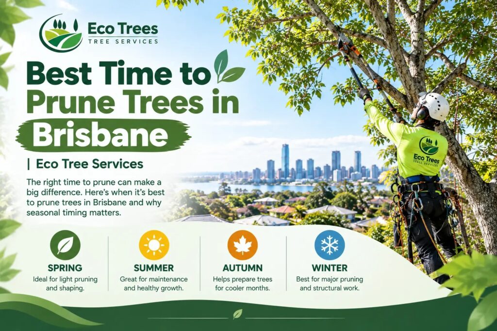 Best Time to Prune Trees in Brisbane: A Seasonal Guide